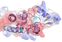 NyxB structure (Louche et al., 2023)