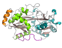 IbpS effector from Plant Pathogen (Liu et al., 2019)