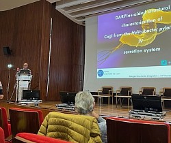 Laurent is giving a talk at the BSI Marseille