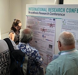Chloé presenting her poster at the 2022 Brucellosis conference