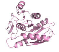 VirJD1 crystal structure